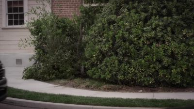 [indistinct radio chatter] - Pretty Little Liars