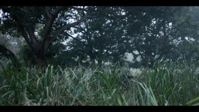 (indistinct shouting) - Tom Clancy's Jack Ryan