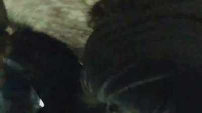 [indistinct speech, clamoring] - The Sixth