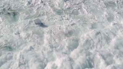 [ Indistinct talking ] - Reef Break