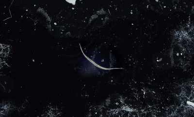 Initially, I just wanted to
be there. - Geographies of Solitude