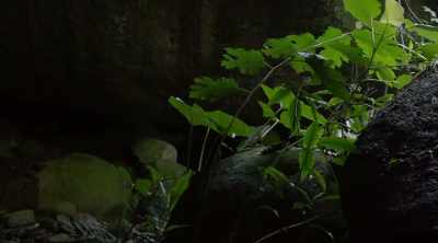 ‐ Initially,
the cave seems ordinary, - Lost Gold of World War II