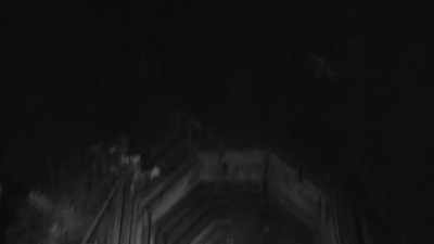 Initially walking
up to this tunnel - Expedition Bigfoot