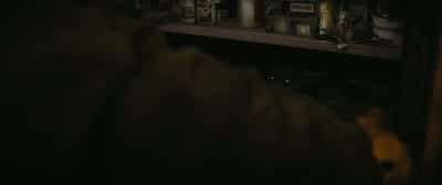 Initiative, initiative, initiative, initiative! - Finch