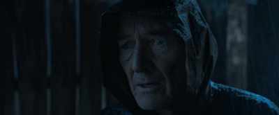 - Injured?
- Yes. Somebody ran over it. - My Neighbor Adolf