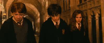 Innocent until proven guilty, Severus.- My cat has been Petrified. - Harry Potter and the Chamber of Secrets
