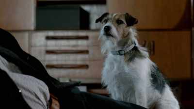 -(inquisitive whimper) - Snatch