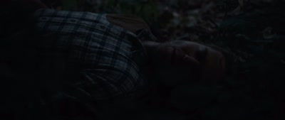 (insect buzzing) - Deep Woods