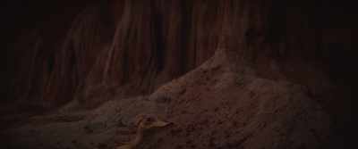 (INSECT BUZZING) - The Mandalorian