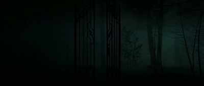 (INSECTS BUZZING) - Slender Man