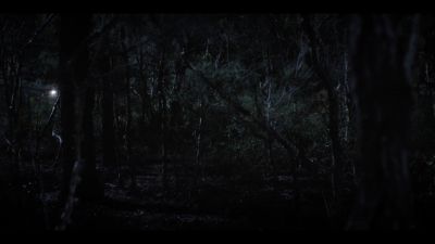 (INSECTS CHIRP) - Mr Inbetween