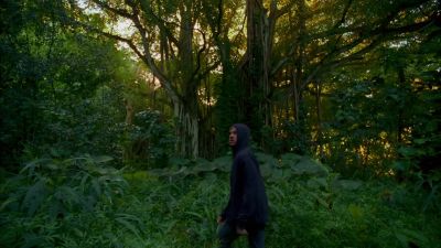 [insects chirping,
birds calling] - Lost