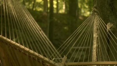 (insects chirping)
(frogs croaking) - Hemlock Grove