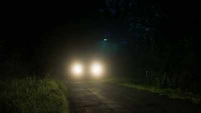 (insects chirping) - 12 Desperate Hours