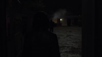 [insects chirping] - Twin Peaks