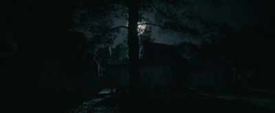 [ Insects chirping ] - Alice