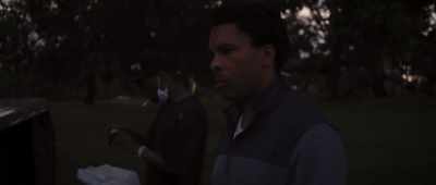 (insects chirping) - Master of Light