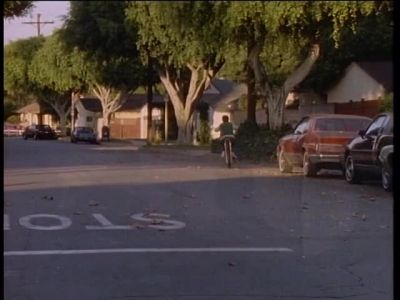[ INSECTS CHIRPING ] - The Wonder Years
