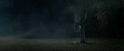 [INSECTS CHIRPING] - The Unholy