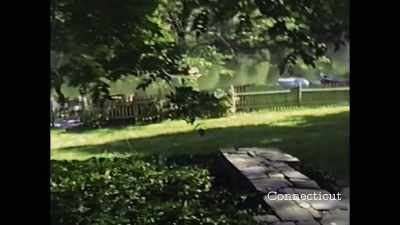(insects chirping) - Allen v. Farrow