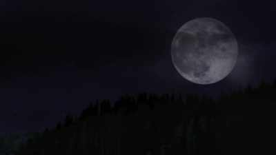 (insects chirping) - Wolf Mountain