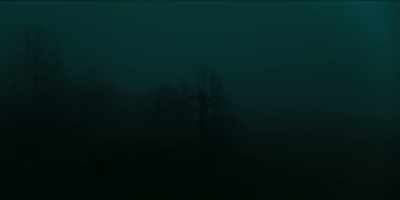 [ Insects chirping ] - Project Blue Book