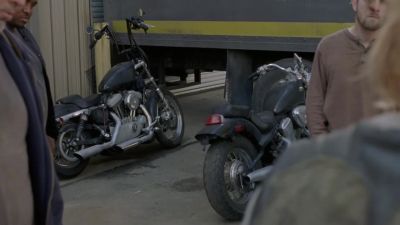 [Insects chirping] - The Walking Dead