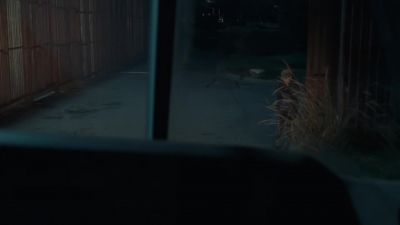 (insects chirping) - The Walking Dead
