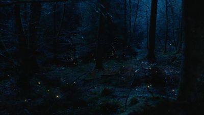 [insects chirping] - Outlander