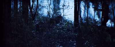 (insects chirping) - Bone Face