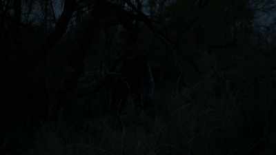 -(insects chirping)
-(wood clacking) - We Are Who We Are