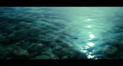 [INSECTS CHIRRING][BIRDS CHIRPING] - Freediver