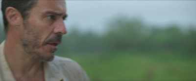 [insects chirruping] - The Bayou