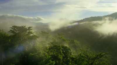 - [insects chittering]
- [birds calling] - Our Planet