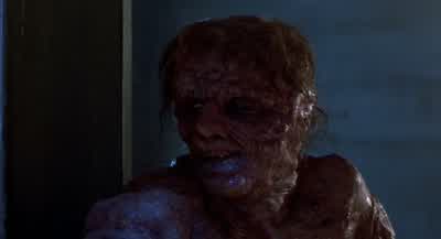 Insects don't have politics. - The Fly