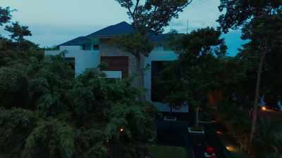 [insects droning] - Mystery Island: Winner Takes All