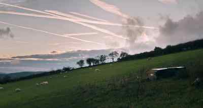 -(insects trilling)
-(sheep bleating) - You Should Have Left