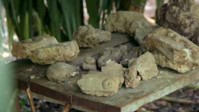 Inside, Marissa's
finding the remains - Lost Treasures of the Maya