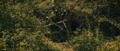 Inside the igloos that are up
there, - The Mothman Legacy