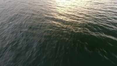 Instead, after more
than a century in the water, - The Curse of Civil War Gold