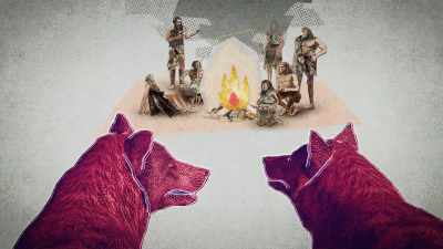 Instead of being afraid of humans, - Inside the Mind of a Dog