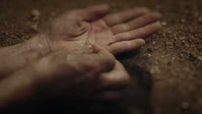 Instead of foraging for food, - Cosmos: Possible Worlds