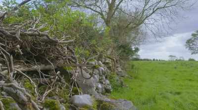 Instead, we're picking up
a tour group in Athlone, - World's Most Scenic River Journeys