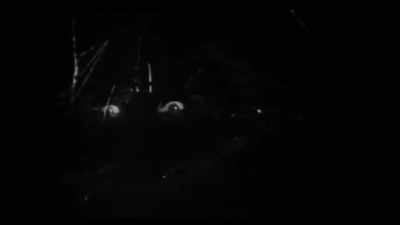 Instead what voodoo
becomes is an ominous sound - Woodlands Dark and Days Bewitched: A History of Folk Horror