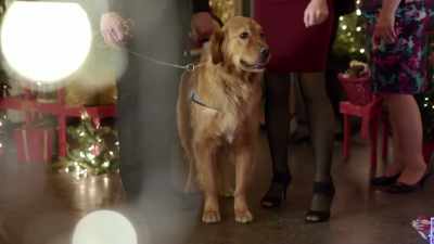 (instrumental Christmas
music playing) - My Christmas Guide