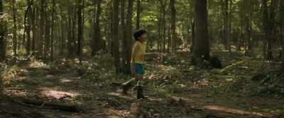 [instrumental music playing] - Minari
