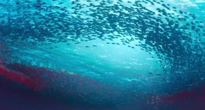 [instrumental sea shanty playing] - The Sea Beast