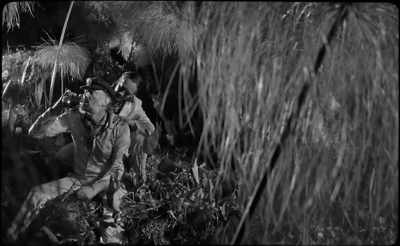 Intellectual activity gets
boring after a while. - The Wild Boys