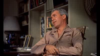 IntelligenceNothing has caused the human race so much trouble as intelligence - Rear Window