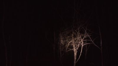 ♪ intense atmospheric music ♪ - Twin Peaks
